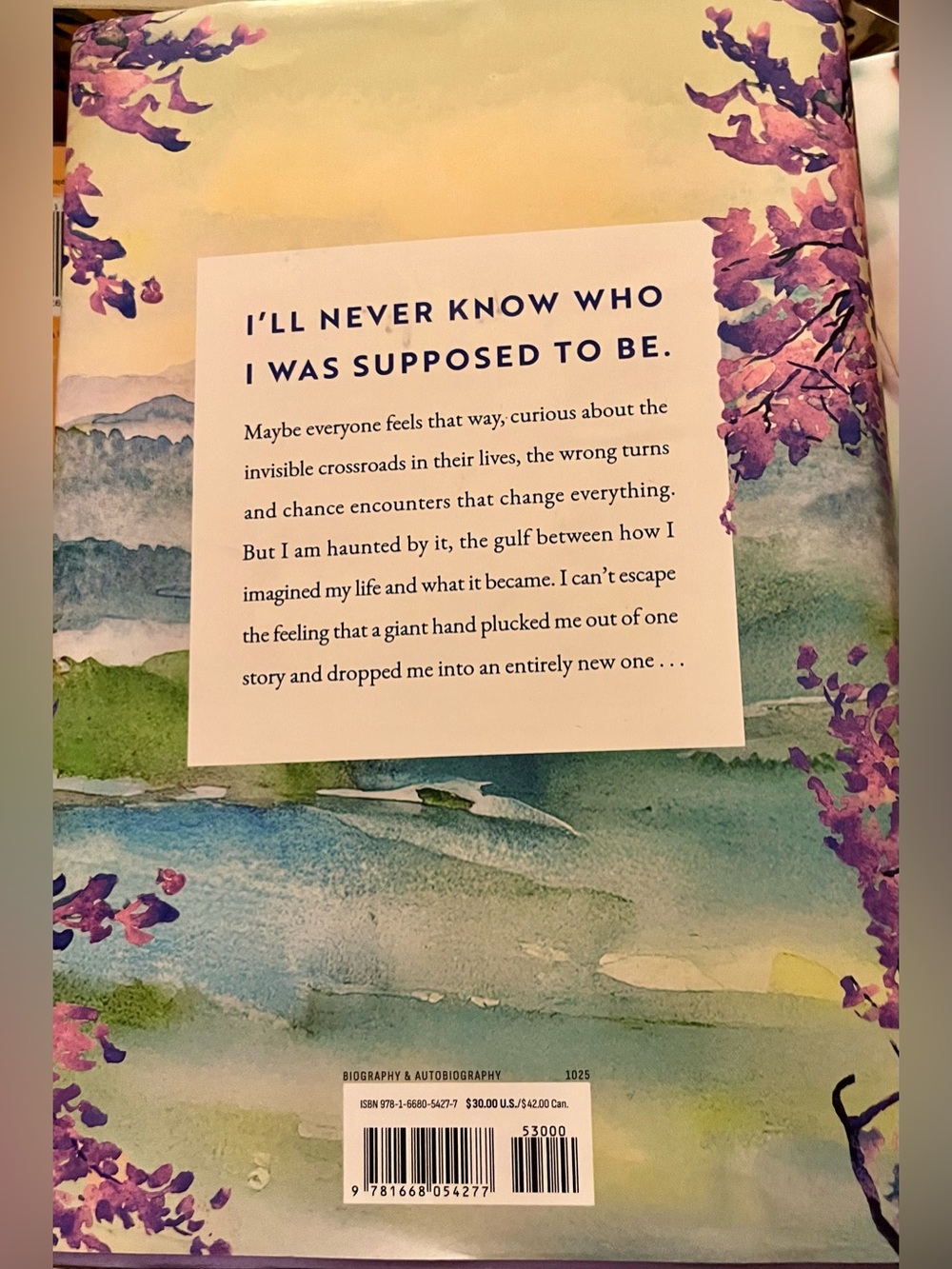 FINDING MY WAY - BESTSELLING NOVEL BY MALALA YOUSAFZAI - Picture 2 of 3